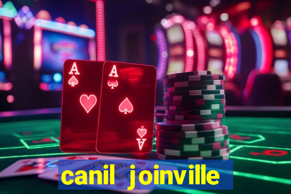 canil joinville vila nova