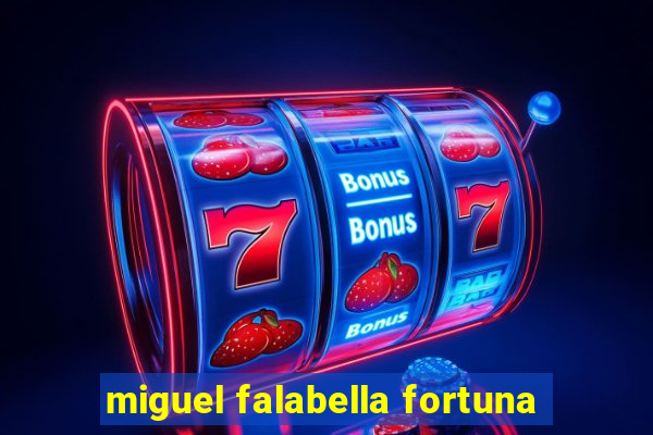 miguel falabella fortuna